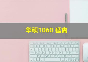 华硕1060 猛禽